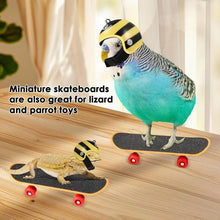 Mini Small Skateboard For Turtles Parrot Toy with 2 Turtle Feeding Ball Fruit Vegetable Holder Finger Skate Board For Tortoise