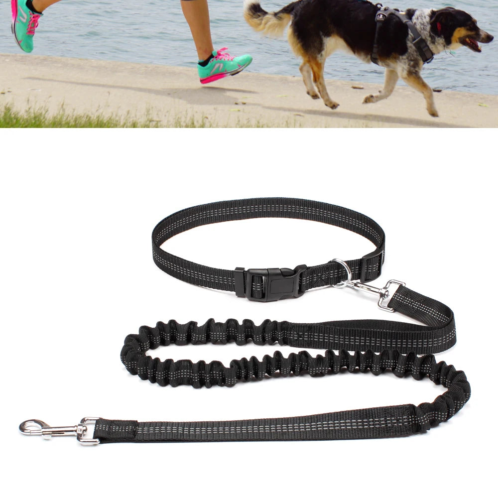 Dog Leash Hands Free Retractable Traction Rope Pet Walking Running Adjustable Waist Belt Elastic Reflective leash Pet Supplies