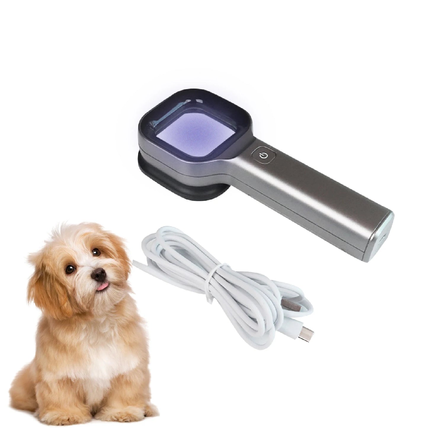 Woods Light Skin Examination For Cat Dog Ringworm Handheld UV Wood's lamp Skin Fungus Detector Vitiligo Pityriasis Versicolor