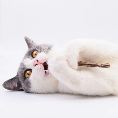 10pcs/bag Cat Chew Toys Natural Catnip Stick Pet Cats Kitten Snacks Matatabi Teeth Molar Chewing Toys Stick