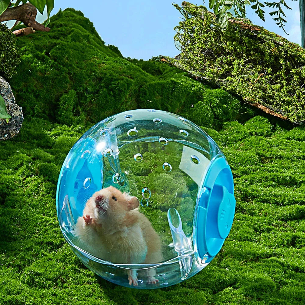 倉鼠健身球透明倉鼠跑步球輪帶牽引繩適用於小動物寵物用品14公分/18厘米