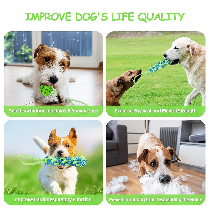 Interactive Dog Toy Spring Rope Dogs Outdoor and Indoor Hanging Pull Rope Ball Bite Resistant Chew Toys Training Pet Accessories
