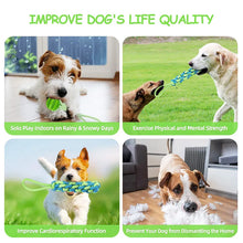 Interactive Dog Toy Spring Rope Dogs Outdoor and Indoor Hanging Pull Rope Ball Bite Resistant Chew Toys Training Pet Accessories