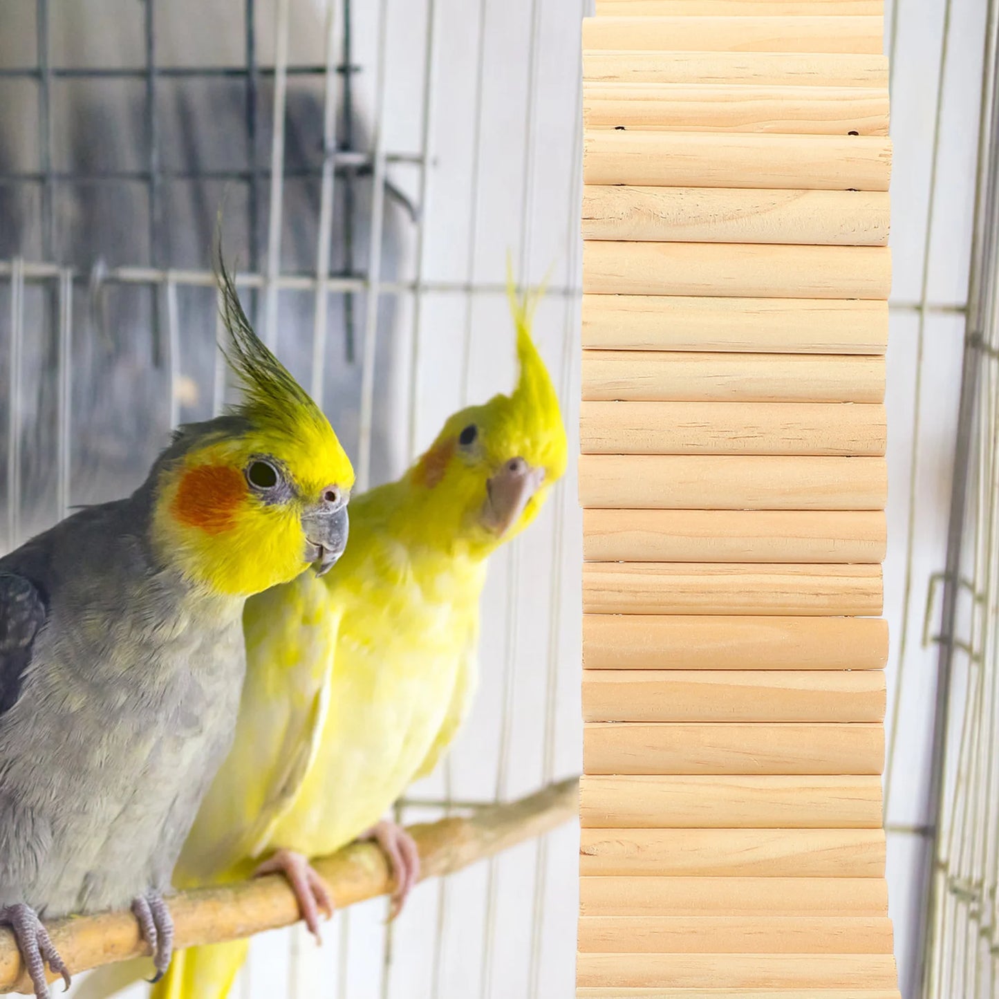 Ladder Fence Small Pet Cage Ornament Climbing Toy Hamster Accessories Playground Bird Toys 2 In1 Cage Ladder Fence Pet Supplies