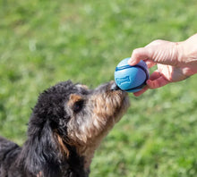 ChuckIt Sniff Fetch Ball Dog Toy Medium