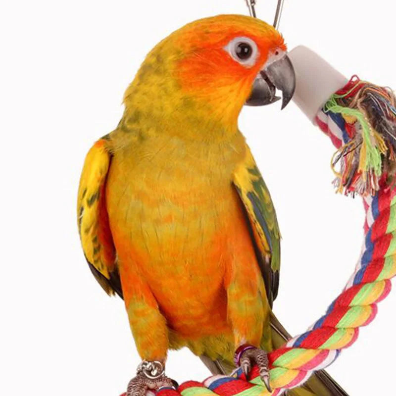 Parrot Toy Wicker Rope Hanging Braided Budgie Chew Bird Cage Cockatiel Toy Pet Stand Training Accessories Bite Swing Supplies