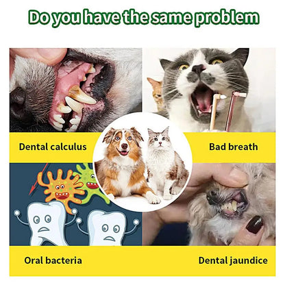 Food grade canine tooth cleaning powder, advanced care 100g formula, small and medium-sized canine tooth powder