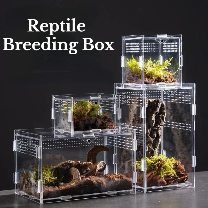 Reptile Acrylic Transparent Terrarium Habitat Breeding Box Reptiles Cage Nano Arboreal Tarantula Enclosure Bearded Dragon