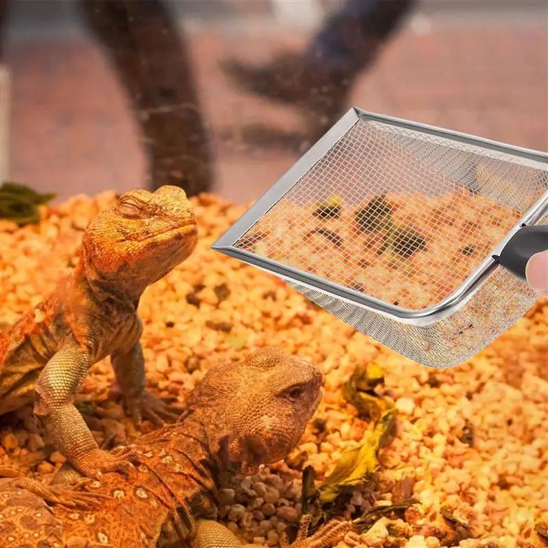 Poop Shovel Reptile Terrarium Litter Scoop Sand Stainless Steel Reptiles Box Sand Shovel Tortoise Residue Excrement Shovels