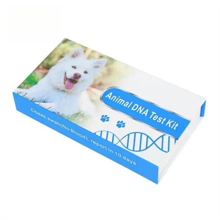 Veterinary Diagnostic Dna Collection test Swab Tube Kit Birds Cat Pet Canine Dna test Microbiology Test Kit