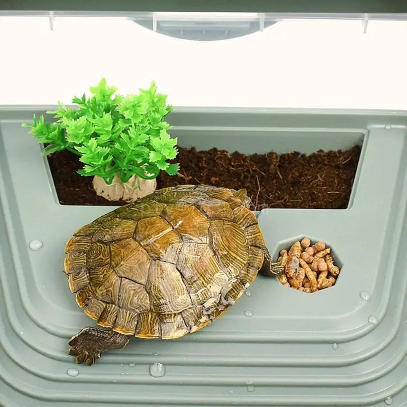 Habitat for Turtle for Tank Plastic Aquarium Amphibian Pet Terrarium Escape Proof with Platform Slope and Swimmi