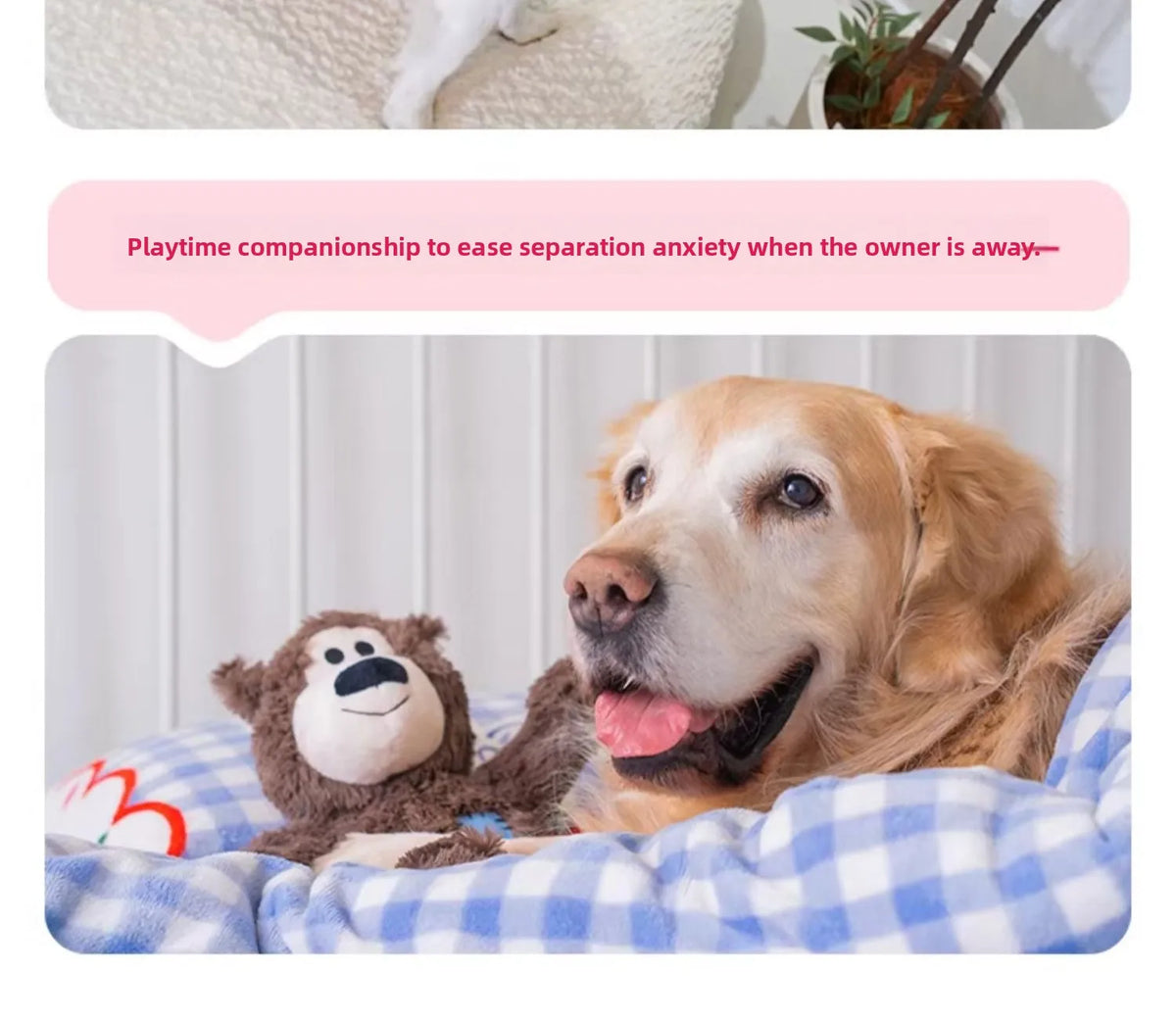 Kong Patch Bear Chew Resistant Plush Toy Sound Making Stress Relief Tug of War for Puppies And Adult Dogs Pet Toys Short Plush