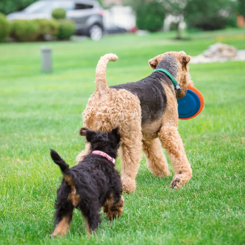 HERO Dog Toys Flying Disc Squeaky Interactive Dog Toy Suitable for Medium or Large Dogs