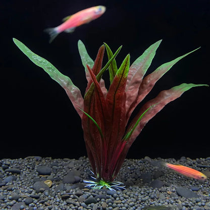 7.08 吋魚缸仿真植物水族箱人造裝飾植物擺飾水草魚缸塑膠裝飾 18 厘米