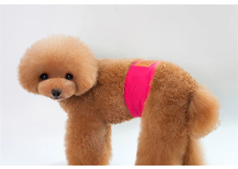 Solid Color Male Dog Diapers – Washable Cotton Dog Shorts