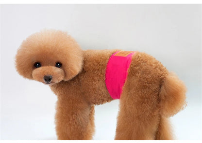 Solid Color Male Dog Diapers – Washable Cotton Dog Shorts