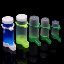 1 件裝寵物鳥鸚鵡自動飲水杯餵食瓶鳥籠鸚鵡餵食工具自動餵食碗和飲水器