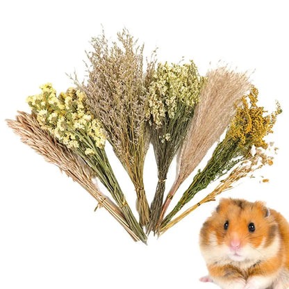 Nature Flower Herb Hamster Bedding Decor Hamster Habitat Decor Hamster Cage Supplies For Hamsters Gerbils Rabbit Other Small Pet