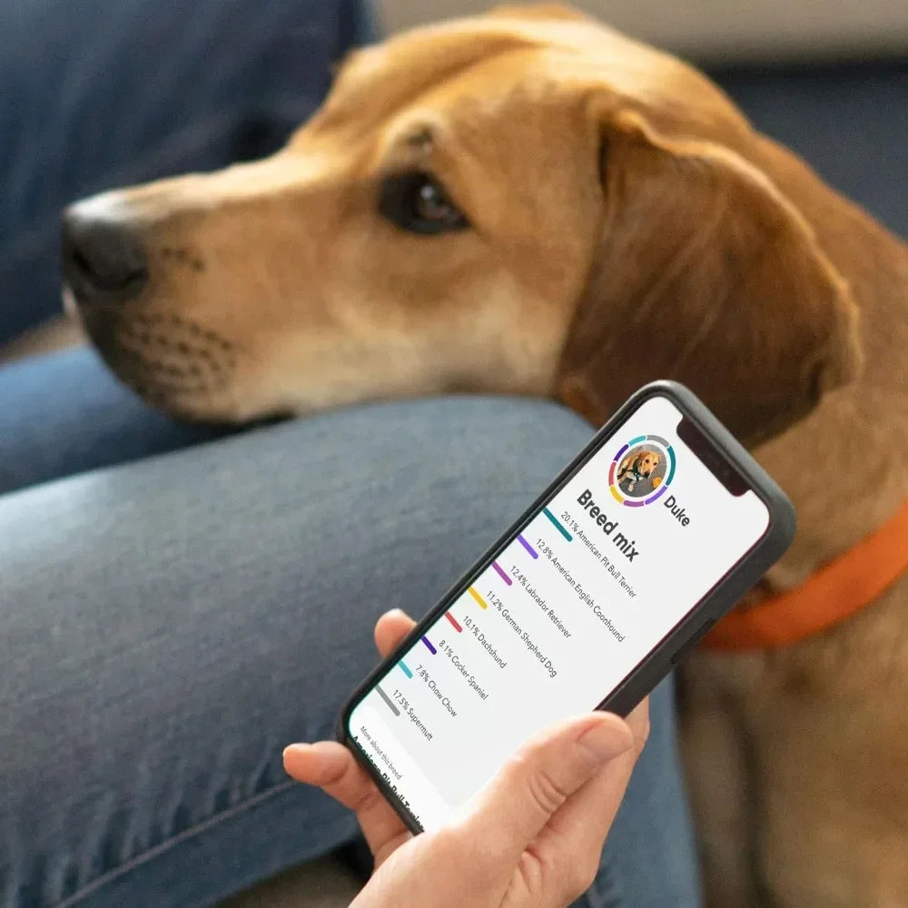 Breed Health Kit (2 Pack) Dog DNA Test Discover Breed  Ancestry Relative Finder  Genetic Health Traits COI Pet Test Strips