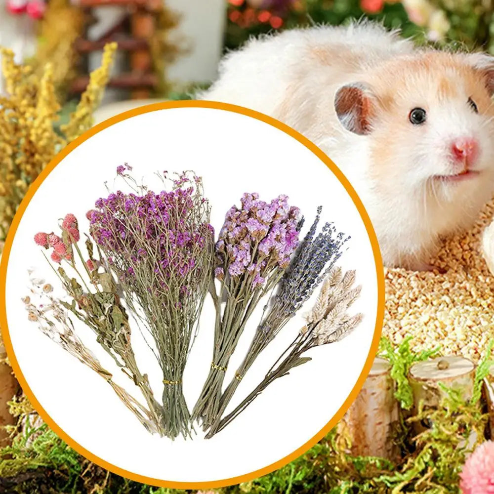 Nature Flower Herb Hamster Bedding Decor Hamster Habitat Decor Hamster Cage Supplies For Hamsters Gerbils Rabbit Other Small Pet