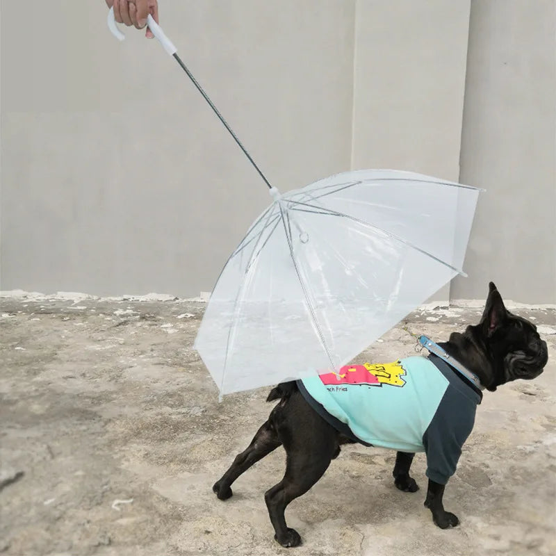 Take A Walk In Rainy Weather Teddy Small Dog With Leash Dog Umbrella For Rain And Snow