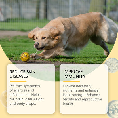 Canine Multivitamin Fish Oil Tablets for Dogs Coat Care Formula with Omega-3, Reduce Shedding & Nourish Skin Health Supplement