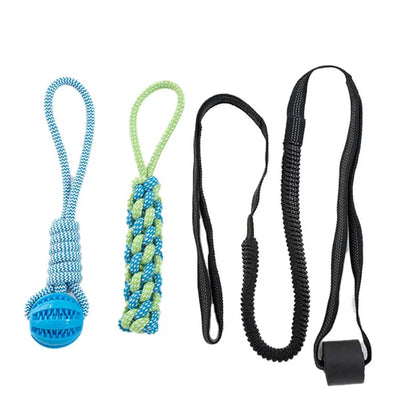 Interactive Dog Toy Spring Rope Dogs Outdoor and Indoor Hanging Pull Rope Ball Bite Resistant Chew Toys Training Pet Accessories