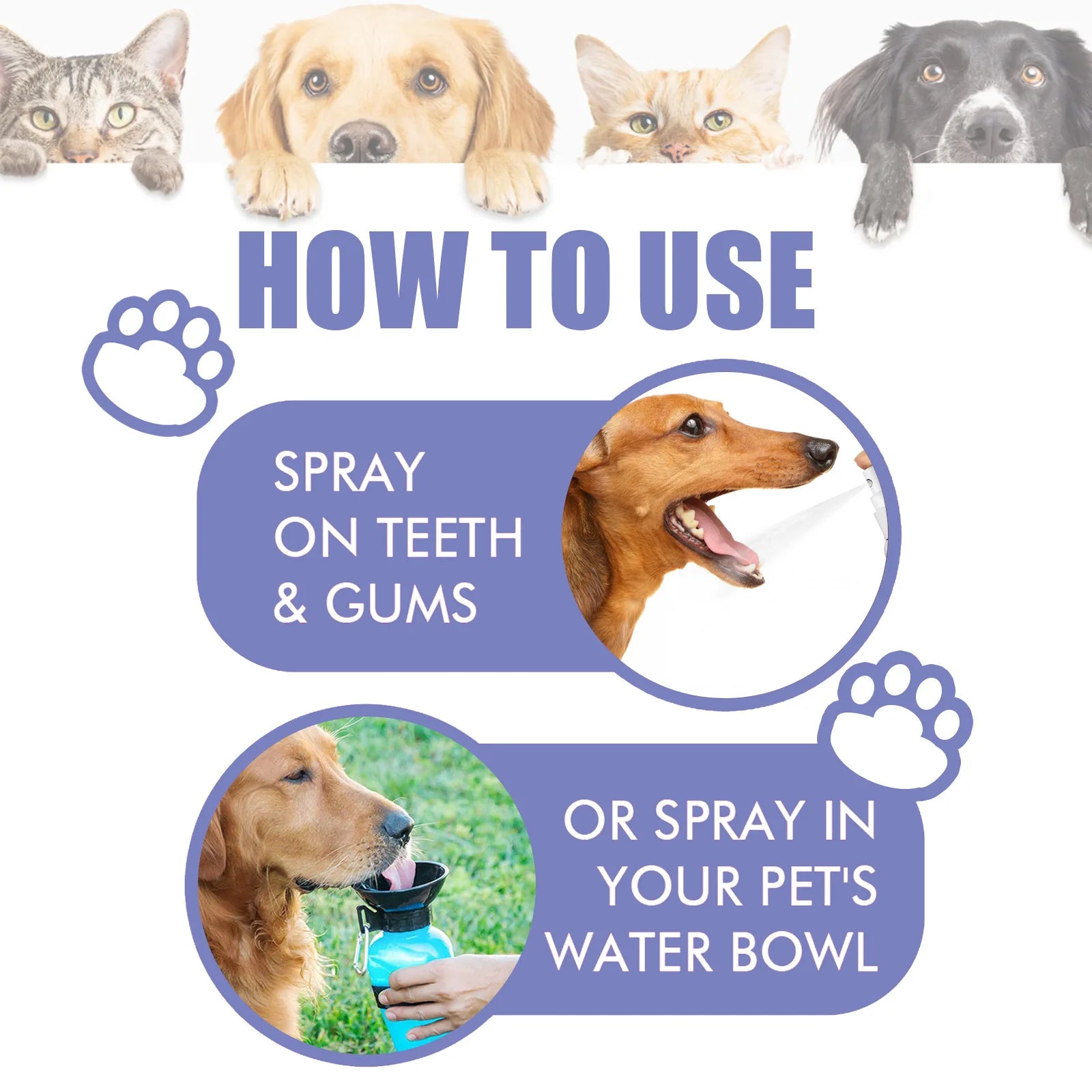 Pet Teeth Cleaning Spray Dog Cat Teeth Calculus Stain Remover Deodorant Kitten Halitosis Bad Breath Treatment Pet Oral Care Tool