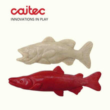 CAITEC Dog Toys Chewing Bone Toy Durable Bite Resistant Great for Tossing and Chasing Suitable for Medium to Large Dogs