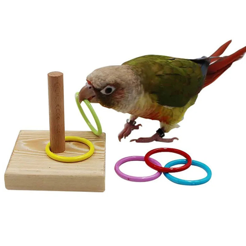 Bird Training Toys Set Wooden Block Puzzle Toys For Parrots Colorful Plastic Rings Intelligence Training Chew Toy Bird Supplies