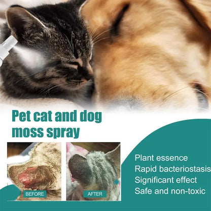 Pet Skin Care Spray 30ml Dogs and Cats Skin Problems Moss Spray Pet Cleaning Care Anti-Itch Spray Dog Cat Healthy Care Supplies
