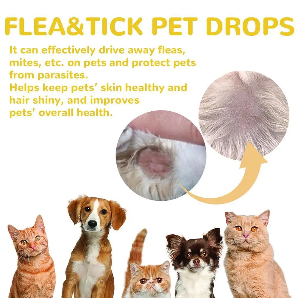 1pcs Dogs And Cats Anti Flea Drops Lice Remove Relieve Skin Itching External Insect Repellent Supplies Pet Tick Treatment Drops