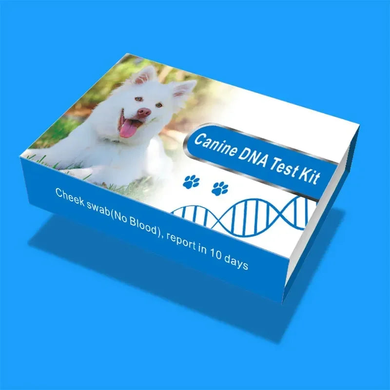 Veterinary Diagnostic Dna Collection test Swab Tube Kit Birds Cat Pet Canine Dna test Microbiology Test Kit
