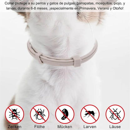 SEISSO Antiparasitic Collar for Dogs 8 Months of Protection Collar Protects Dogs and Cats from Fleas  Lice Mosquitoes Larvae
