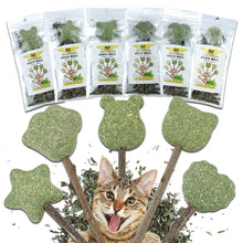 可愛造型新鮮貓薄荷玩具貓薄荷天然安全可食用可愛造型寵物薄荷棒棒糖貓薄荷球貓玩具清潔牙齒