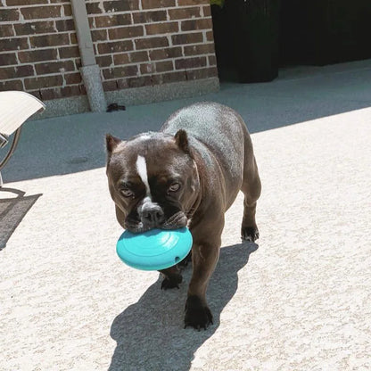 CAITEC Dog Toys Squeaking Foraging Disc Springy Durable Floatable Foraging and Chewing Pet Toy