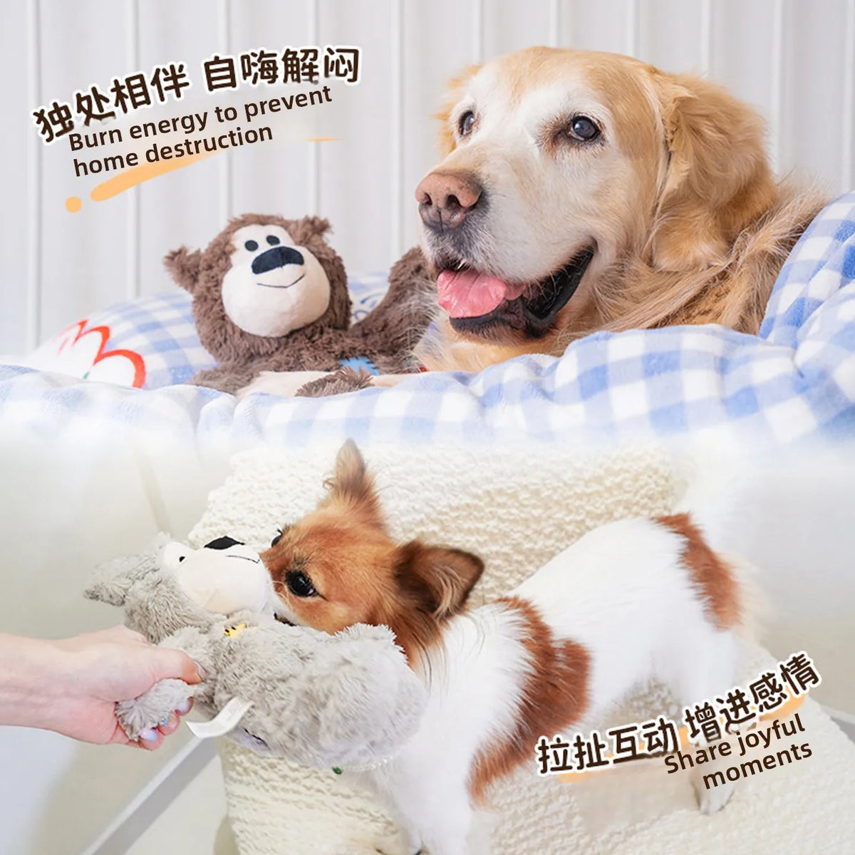 Kong Patch Bear Chew Resistant Plush Toy Sound Making Stress Relief Tug of War for Puppies And Adult Dogs Pet Toys Short Plush