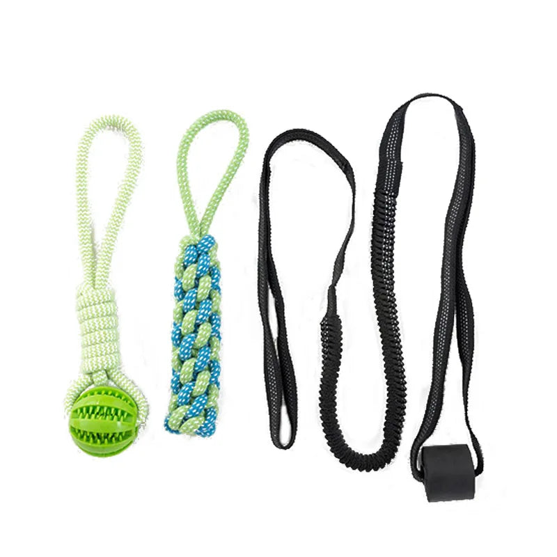 Interactive Dog Toy Spring Rope Dogs Outdoor and Indoor Hanging Pull Rope Ball Bite Resistant Chew Toys Training Pet Accessories