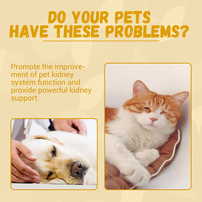 Yegbong Pet Kidney Drops Kidney Stone Removal Urinary Tract Care Maintain Urinary System Anti Inflammation Dog Health Supplement