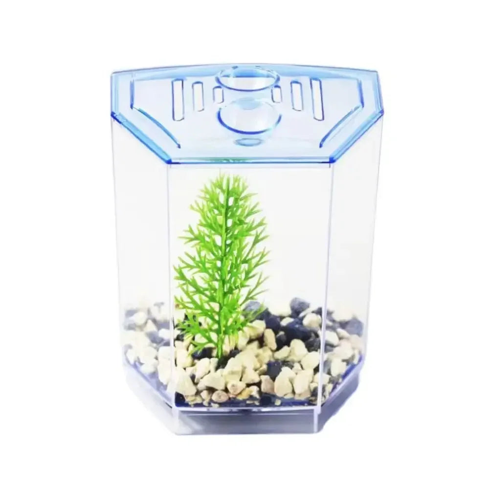 Transparent Betta Fish Tank with Water Grass, Plastic Double-Grid Betta Isolation Box, Single and Double Grid