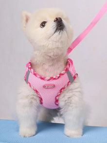 Supet 1 件組狗背帶，防拉扯，寵物背帶，可調節，易於控制，適合小型、中型犬
