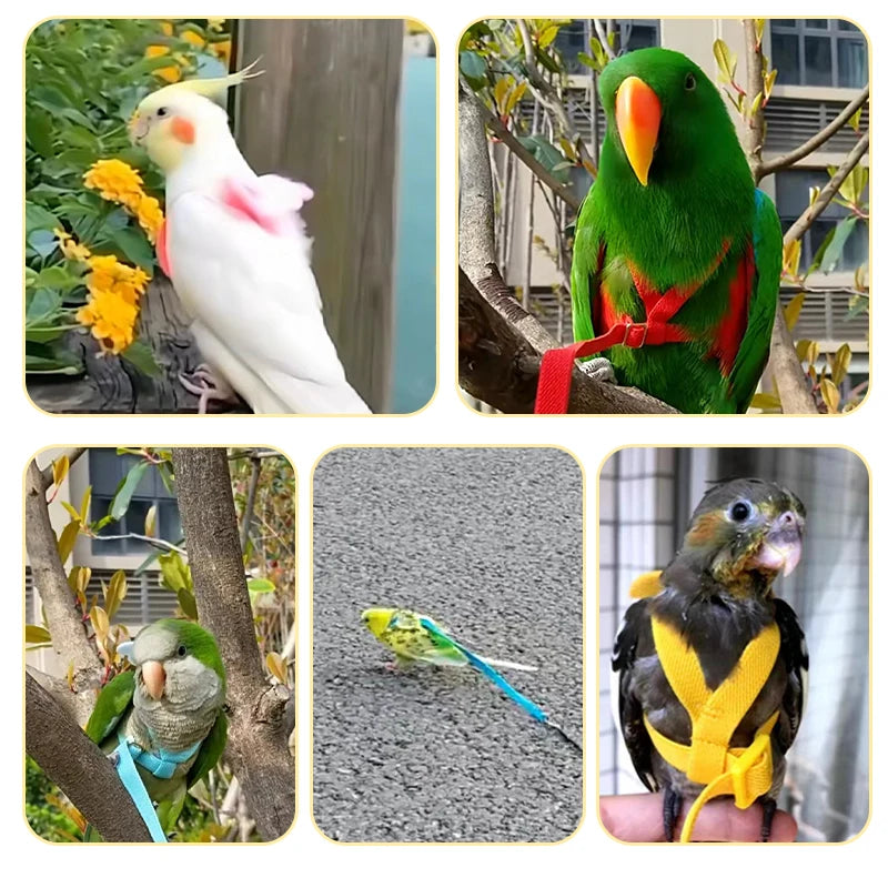 Long Cable Bird Harness Leash Anti-Bite Training Rope Decorative Lightweight Parakeet Parrot Vest Rope for Bird