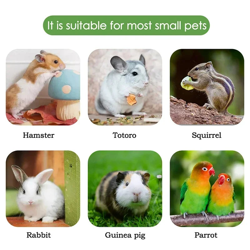 Hamster Grinding Teeth Cake Cookie Animals Rabbit Pig Molar Chew Toy Natural Loofah Clean Loofah Slices Small Pets Molar Snacks