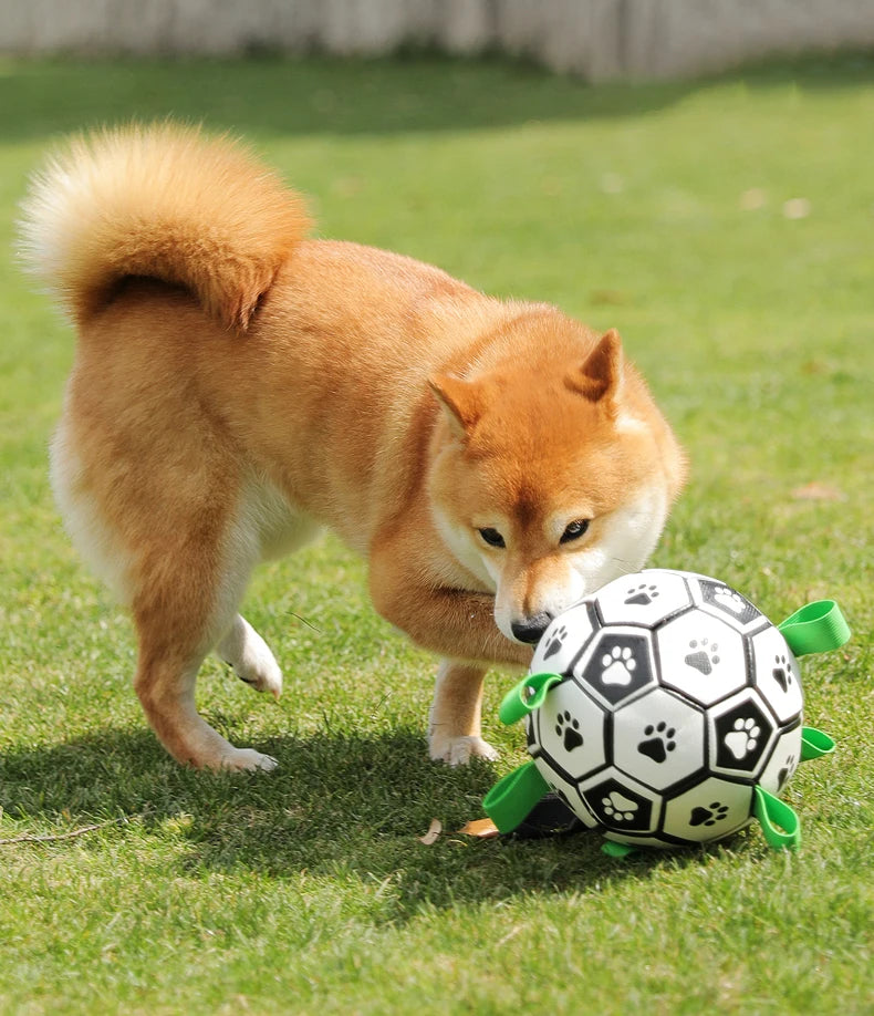 Kimpets Dog Interactive Football Toys Children Soccer Dog Outdoor Training Balls Dog Sporty Bite Chew Teething Ball Pet Supplies