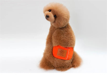 Solid Color Male Dog Diapers – Washable Cotton Dog Shorts