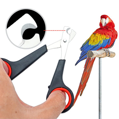 ペット鳥オウム小動物アクセサリーグルーミングツール爪切り黒と赤