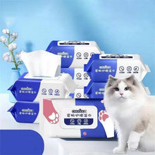 ペット用特殊洗浄シート 猫と犬用 洗わずに使える特殊洗浄シート 消臭シート ペット用洗浄シート