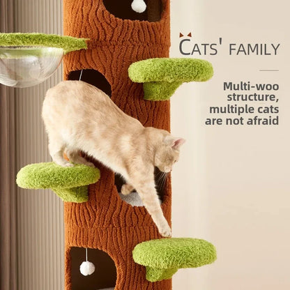 Cat climbing frame nest, cat tree integration, non-solid wood Tongtian pillar, fram toys products