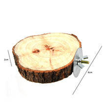 圓形木製松鼠鸚鵡鳥棲架平台寵物鳥松鼠龍貓鸚鵡木製碼頭跳水平台鳥玩具