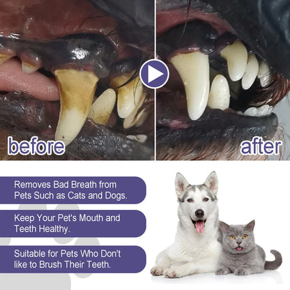 Pet Oral Gel for Dogs & Cats – Fresh Breath & Tartar Control